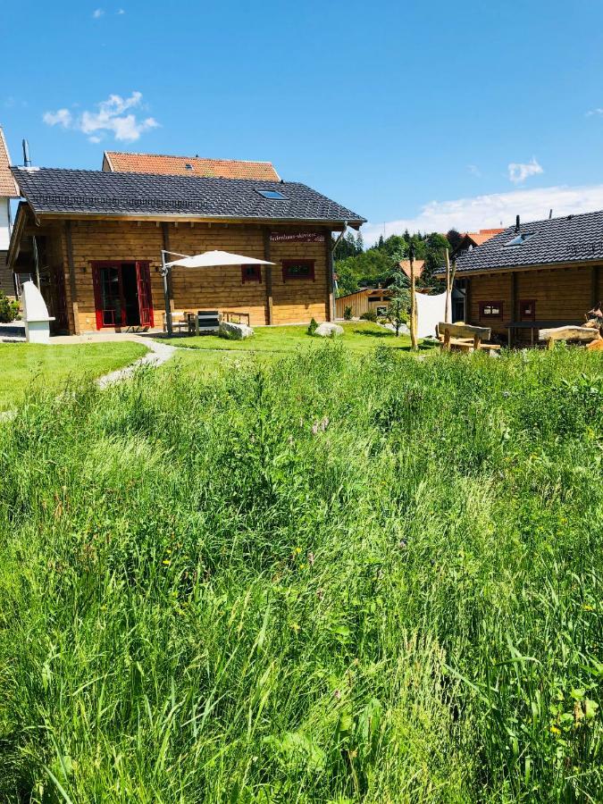 Blockhaus An Der Skiwiese Braunlage Exteriér fotografie